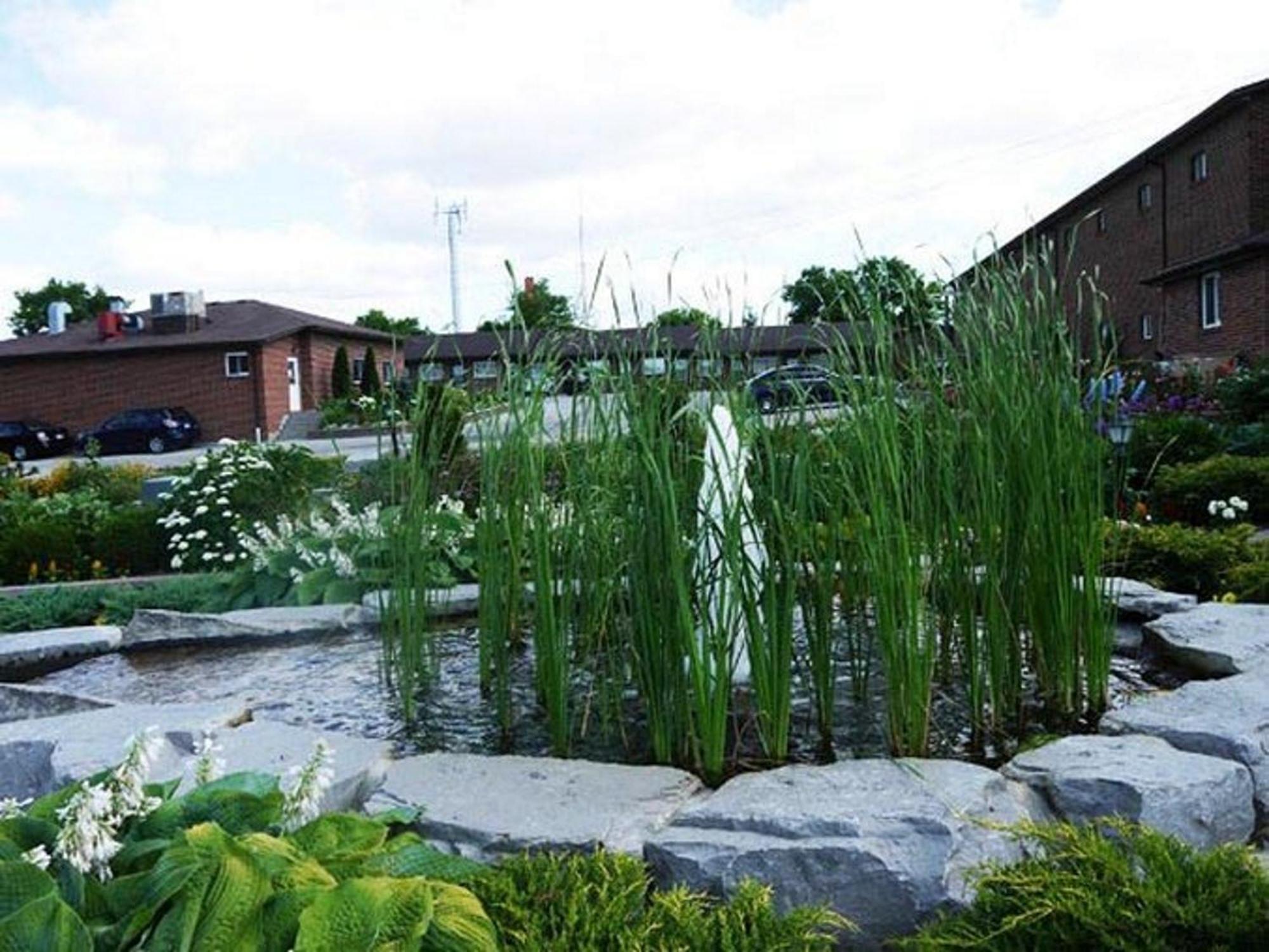 Newmarket Inn Экстерьер фото